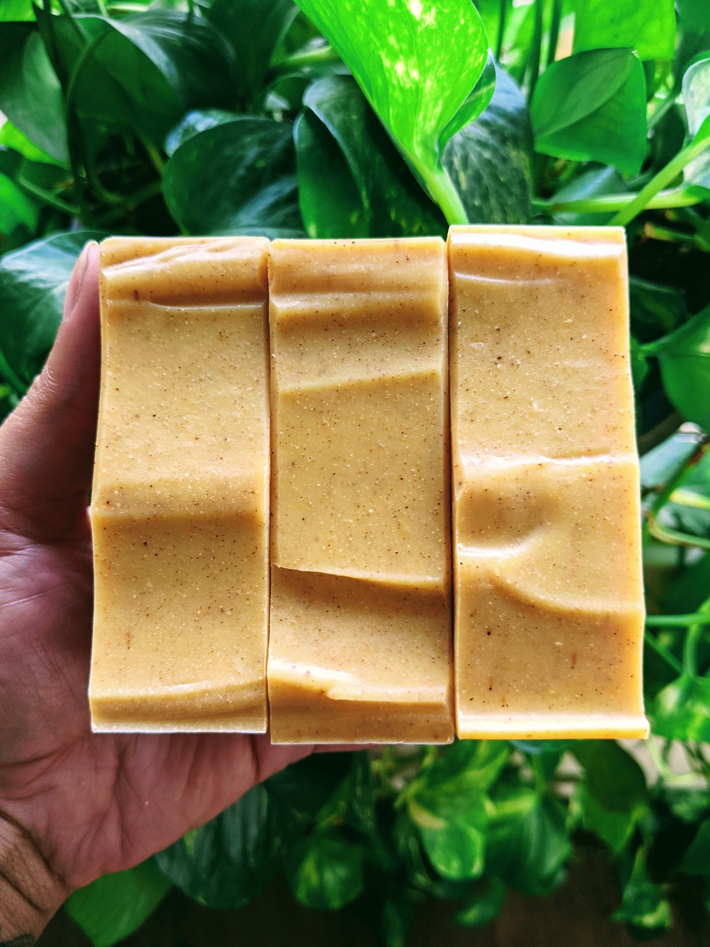 PUMPKIN + WALNUT SOAP