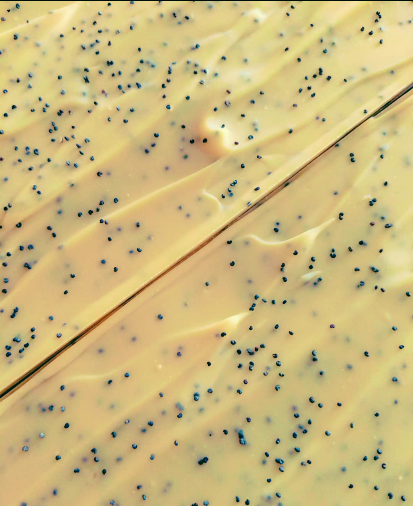 LEMONGRASS + GINGER POPPYSEED SOAP