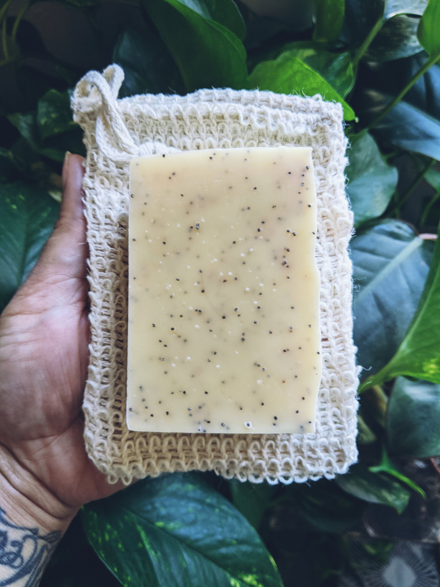 LEMONGRASS + GINGER POPPYSEED SOAP