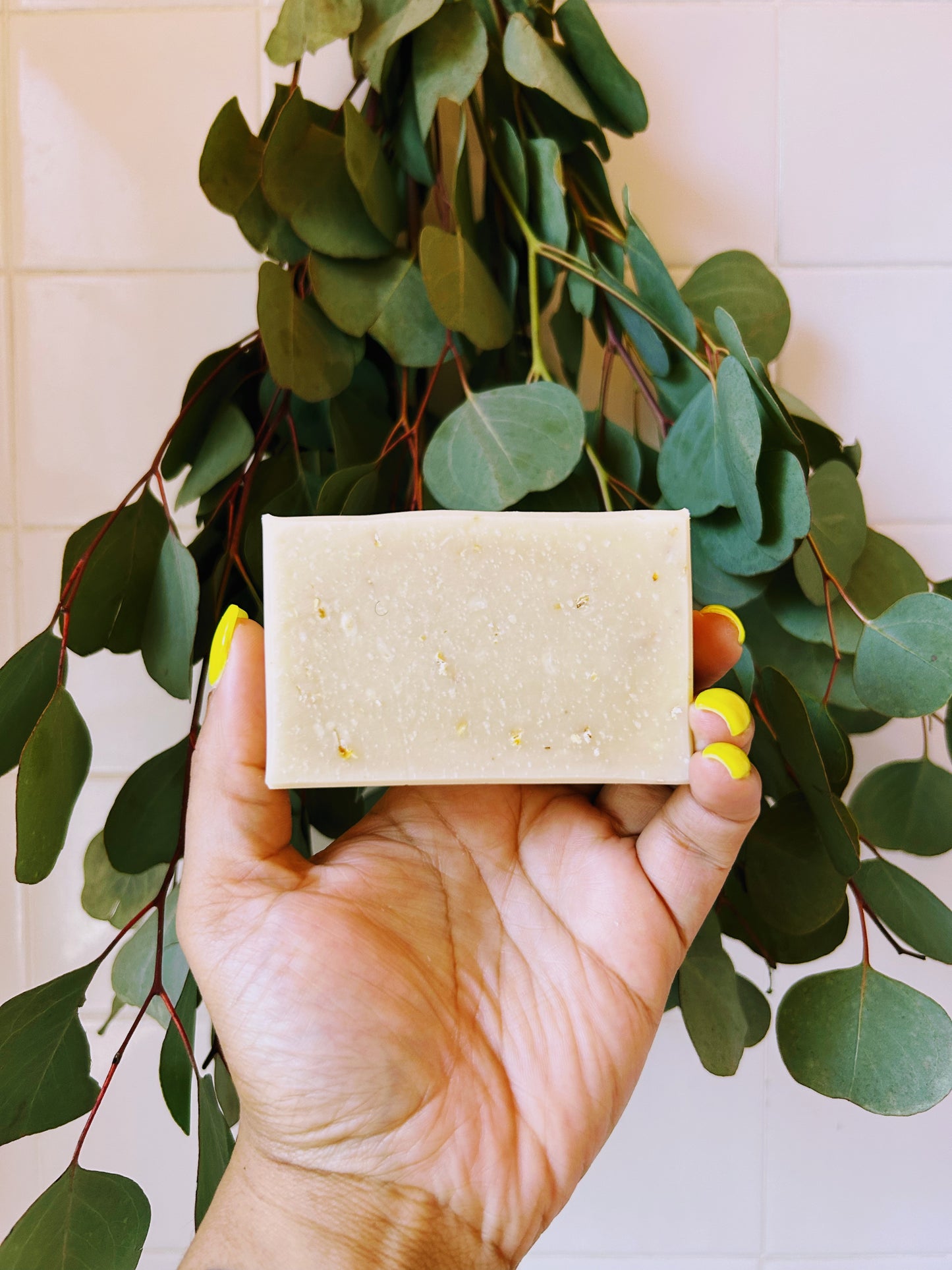 ALOE + OAT SOAP (COCONUT OIL FREE)