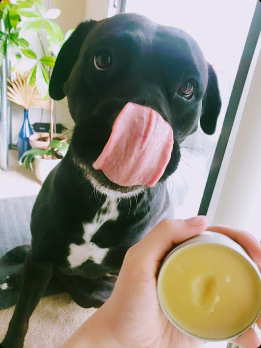 *NEW* RAW PAW BALM