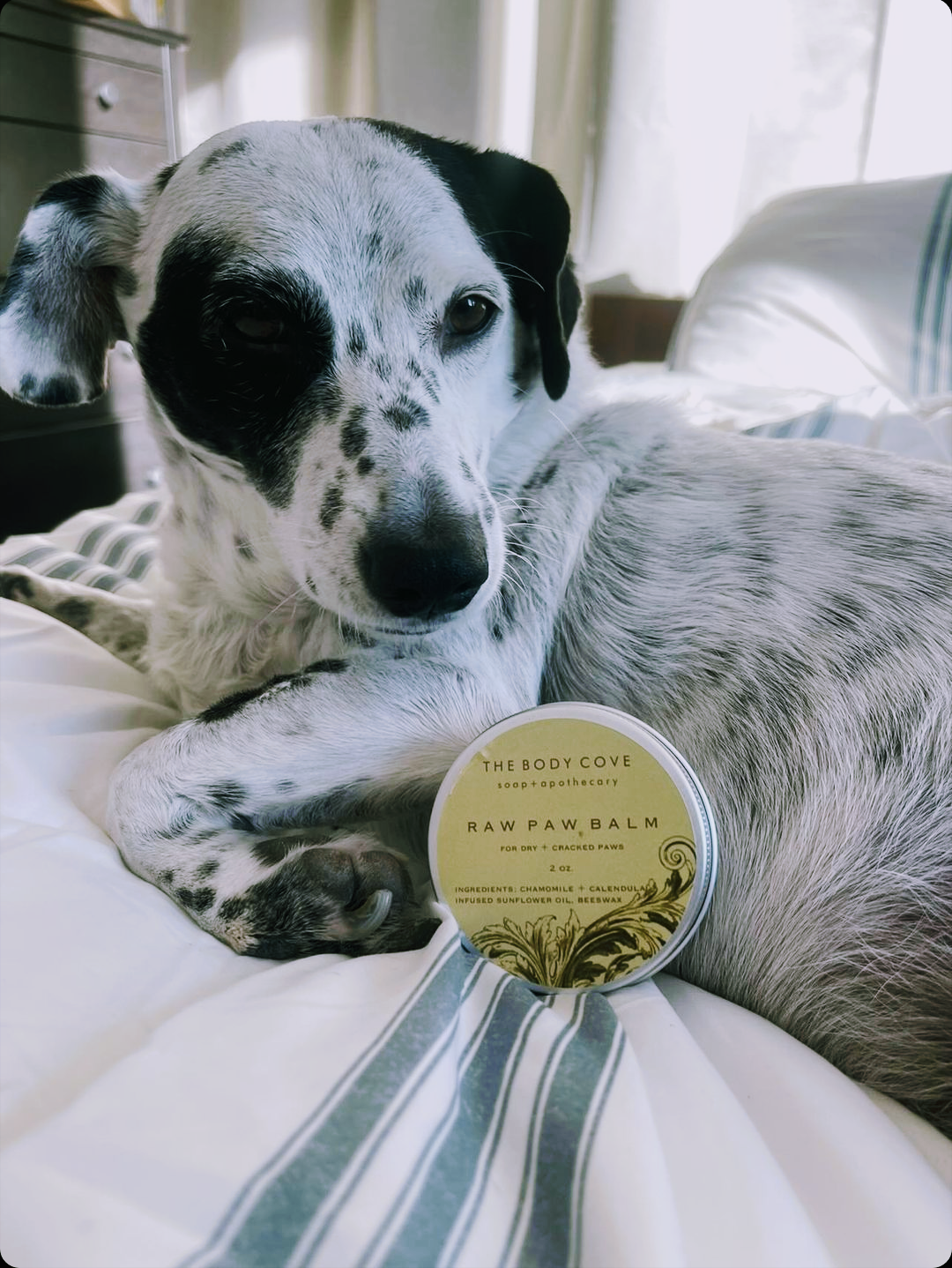 *NEW* RAW PAW BALM